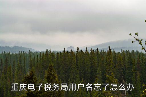 重慶電子稅務(wù)局的網(wǎng)址是什么意思，重慶市國(guó)稅電子申報(bào)委托繳稅的網(wǎng)址