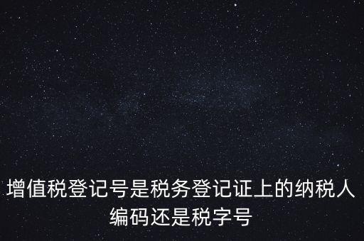 一般納稅人登記編號是什么，納稅人編號是什么