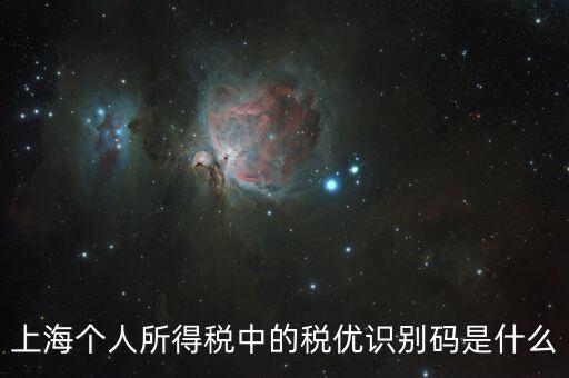 稅優(yōu)碼什么樣子，保險稅優(yōu)識別碼是什么樣的