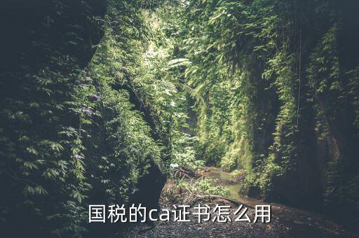 國(guó)稅的ca證書(shū)怎么用