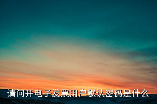 重慶國(guó)稅電子發(fā)票登錄密碼是什么意思，國(guó)稅局發(fā)票軟件里用戶代碼和密碼是什么