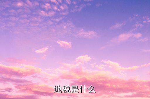 地稅調(diào)研文章些什么意思，通過(guò)對(duì)某地方國(guó)稅地稅辦稅業(yè)務(wù)的調(diào)研談?wù)劕F(xiàn)階段地方國(guó)稅地稅
