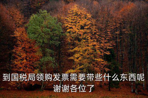 去國稅領(lǐng)發(fā)票需要帶什么，國稅領(lǐng)取發(fā)票需帶什么材料不是初次領(lǐng)購