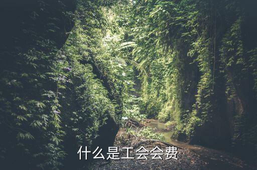 什么企業(yè)交工會(huì)經(jīng)費(fèi)，繳工會(huì)經(jīng)費(fèi)的依據(jù)是什么