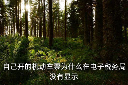 為什么登錄電子稅務(wù)局沒有反映，自己開的機動車票為什么在電子稅務(wù)局沒有顯示