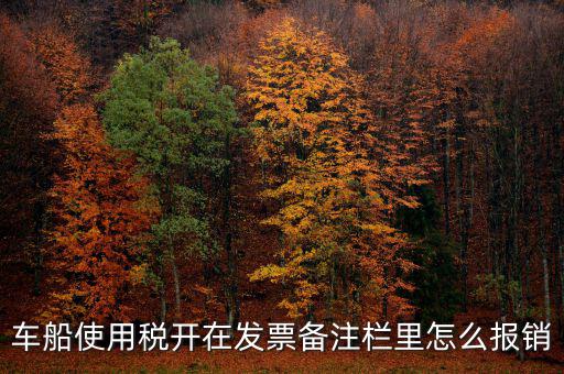 車船使用稅為什么在發(fā)票備注欄，保險(xiǎn)公司代收的車船稅稅款是填在備注欄里的么