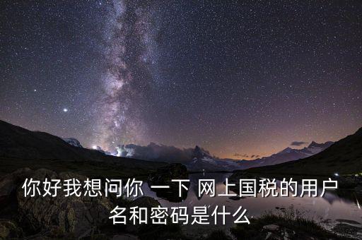 網(wǎng)上稅務(wù)辦理密碼是什么意思，國稅第一次網(wǎng)上申報(bào)的登陸密碼是什么