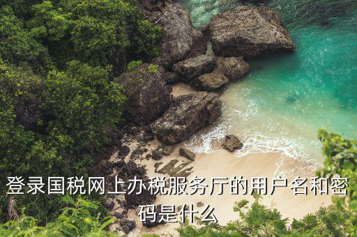 河北省地稅登陸的用戶名是什么，登錄國(guó)稅網(wǎng)上辦稅服務(wù)廳的用戶名和密碼是什么
