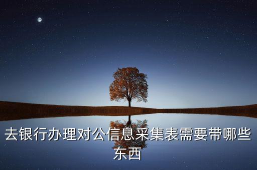 廣東實名信息采集需要什么資料，去銀行辦理對公信息采集表需要帶哪些東西