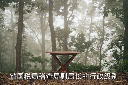 湖南稽查局長(zhǎng)什么級(jí)別，湖南廣電局紀(jì)檢組長(zhǎng)是什么級(jí)別