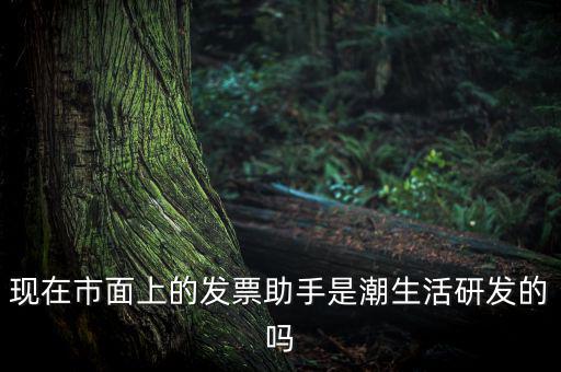 國(guó)稅發(fā)票助手是干什么的，現(xiàn)在市面上的發(fā)票助手是潮生活研發(fā)的嗎