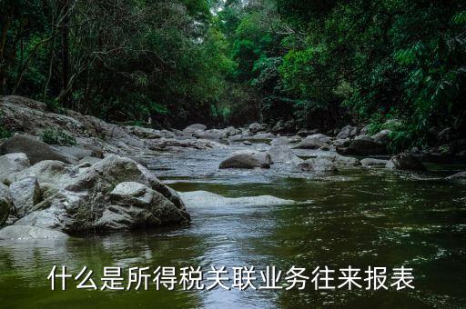 什么是所得稅關聯業(yè)務往來報表