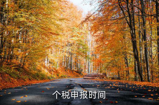 個(gè)人經(jīng)營(yíng)所得稅什么時(shí)候申報(bào)，個(gè)人所得稅明細(xì)申報(bào)什么時(shí)候報(bào)