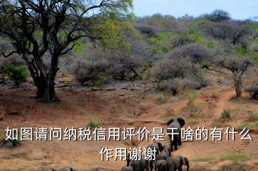 申請納稅信用復(fù)評需要什么資料，納稅信用評價(jià)的基本規(guī)范要求包括什么