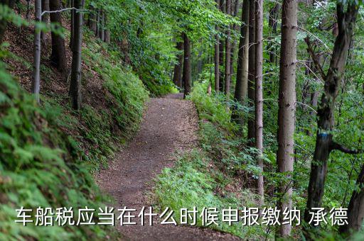 車(chē)船稅應(yīng)當(dāng)在什么時(shí)候申報(bào)繳納 承德