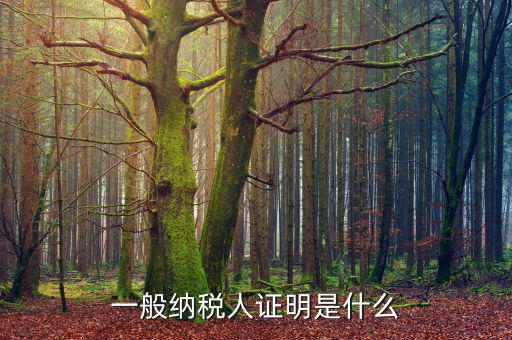 什么可以證明是一般納稅人，什么叫一般納稅人我如何辨別自己公司是否是一般納稅人