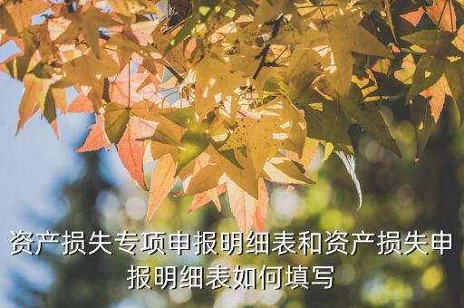 什么是專項資產(chǎn)損失申報表，所得稅申報表怎么填22資產(chǎn)損失