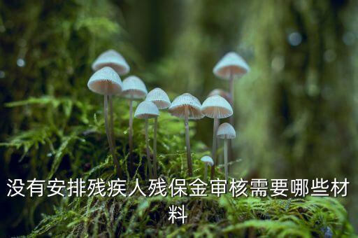 福建殘保金備案需要什么資料，求助2012年殘保金申請流程
