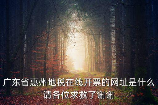 廣東省惠州地稅在線開票的網址是什么請各位求救了謝謝