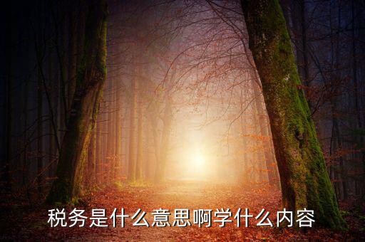稅務(wù)中介是什么，稅務(wù)師事務(wù)所屬于什么行業(yè)