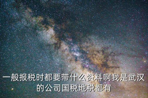 武漢國稅年報是什么，武漢市地稅國稅報稅截至日期分別是什么時候