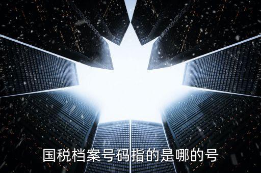 國稅號碼是什么，什么是國稅檔案號
