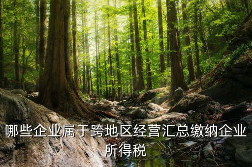 跨地區(qū)經(jīng)營匯總納稅指的是什么，哪些企業(yè)屬于跨地區(qū)經(jīng)營匯總繳納企業(yè)所得稅