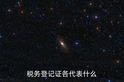 什么稅務(wù)登記證，什么是稅務(wù)登記證