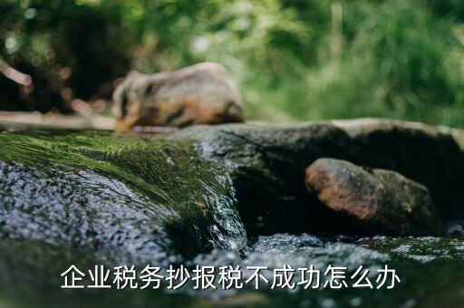 企業(yè)稅務(wù)抄報稅不成功怎么辦