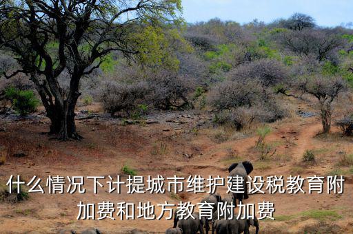 什么情況下免交地方教育稅附加，什么情況下計提城市維護(hù)建設(shè)稅教育附加費(fèi)和地方教育附加費(fèi)
