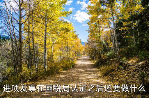稅務(wù)認(rèn)定之后做什么，新辦企業(yè)稅務(wù)登記證下來(lái)后接下來(lái)會(huì)計(jì)該做些什么工作