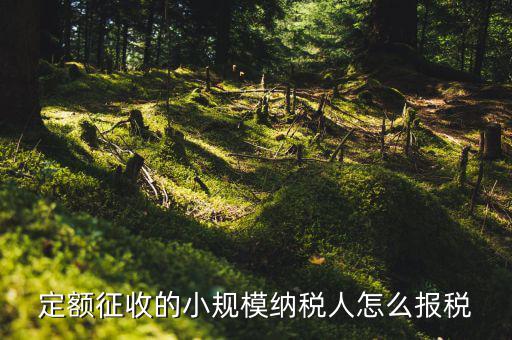 小規(guī)模納稅人 什么定額申報，定額征收的小規(guī)模納稅人怎么報稅