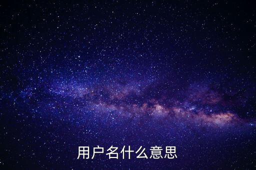 微稅用戶名是什么意思啊，用戶名什么意思