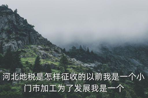 河北省地稅報(bào)稅征收方式是什么，河北地稅申報(bào)個(gè)人所得稅