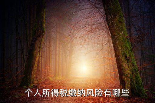 所得稅申報時有什么風(fēng)險提示，個人所得稅繳納風(fēng)險有哪些