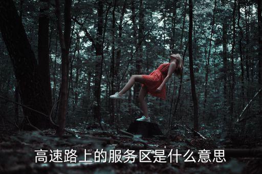 高速路上的服務區(qū)是什么意思