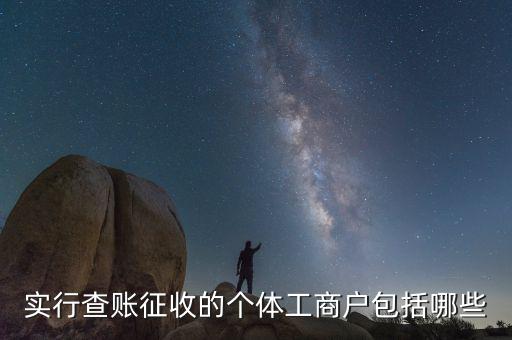 實(shí)行查賬征收的個(gè)體工商戶包括哪些