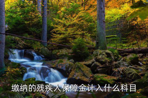 殘疾人就業(yè)保障金稅目是什么，殘疾人就業(yè)保障金應(yīng)計什么會計科目