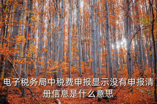 電子稅務(wù)局中稅費(fèi)申報顯示沒有申報清冊信息是什么意思