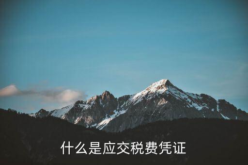稅金憑證是什么意思，完稅證明什么意思