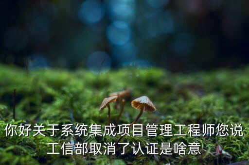 你好關于系統集成項目管理工程師您說工信部取消了認證是啥意