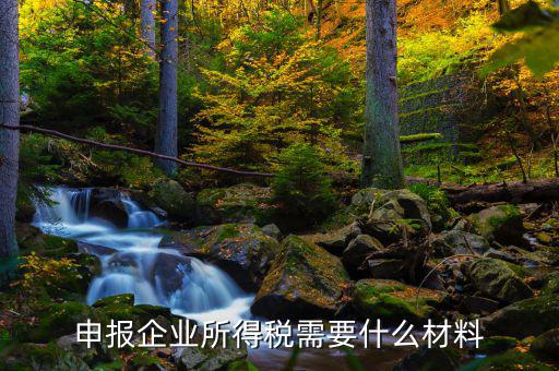 企業(yè)所得稅補(bǔ)申報需要什么，申報企業(yè)所得稅需要什么材料