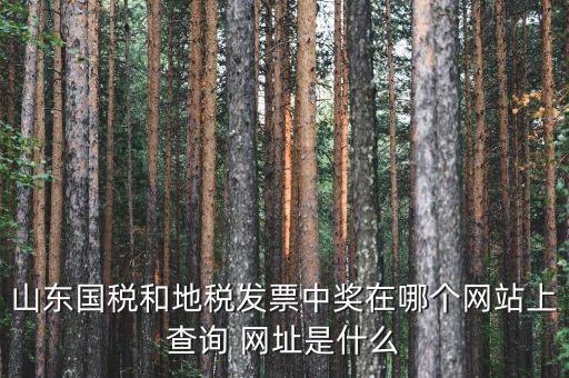 發(fā)票領(lǐng)用什么網(wǎng)站，誰知道發(fā)票兌獎上那個網(wǎng)站