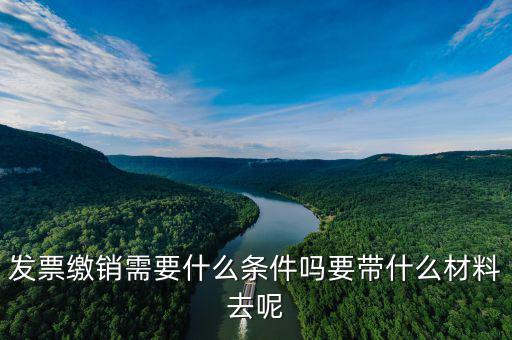 發(fā)票繳銷(xiāo)需要什么條件嗎要帶什么材料去呢