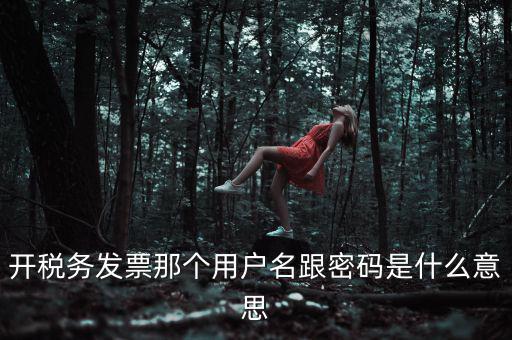 開(kāi)稅務(wù)發(fā)票那個(gè)用戶名跟密碼是什么意思