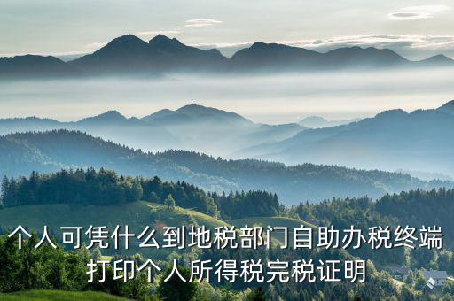 稅務(wù)局自助辦稅服務(wù)終端是什么，自助辦稅終端 報稅