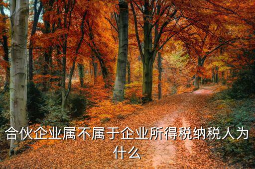合伙企業(yè)為什么是個稅納稅人，合伙企業(yè)屬不屬于企業(yè)所得稅納稅人為什么