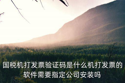 北京國(guó)稅電子發(fā)票驗(yàn)證密碼是什么，國(guó)稅局發(fā)票軟件里用戶代碼和密碼是什么