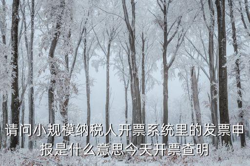 開票申報(bào)是什么原因，納稅申報(bào)出現(xiàn)的問題高手來解