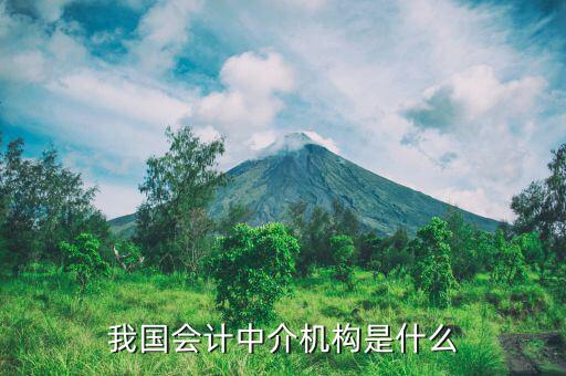 什么是涉稅中介機(jī)構(gòu)，我國會計(jì)中介機(jī)構(gòu)是什么